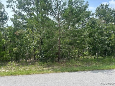 Great lot for building your new home in Sugarmill Woods. Just a on Sugarmill Woods Golf and Country Club in Florida - for sale on GolfHomes.com, golf home, golf lot