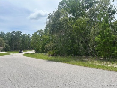Great lot for building your new home in Sugarmill Woods. Just a on Sugarmill Woods Golf and Country Club in Florida - for sale on GolfHomes.com, golf home, golf lot