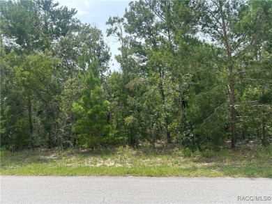 Great lot for building your new home in Sugarmill Woods. Just a on Sugarmill Woods Golf and Country Club in Florida - for sale on GolfHomes.com, golf home, golf lot