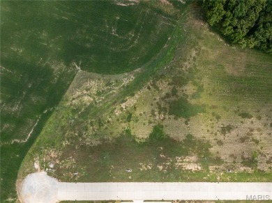 Large residential building lots situated on Legacy Drive in on The Ridge Golf Course in Illinois - for sale on GolfHomes.com, golf home, golf lot
