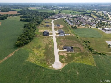 Large residential building lots situated on Legacy Drive in on The Ridge Golf Course in Illinois - for sale on GolfHomes.com, golf home, golf lot