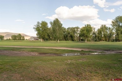 Mindy Costanzo, Bluebird Real Estate, LLC, C: , cmindy,  : on Dos Rios Golf Course in Colorado - for sale on GolfHomes.com, golf home, golf lot