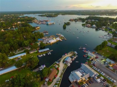 Welcome to your Nature Coast Florida home! Nestled on a 1-acre on Citrus Hills Golf Club in Florida - for sale on GolfHomes.com, golf home, golf lot