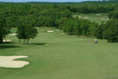 Welcome to your Nature Coast Florida home! Nestled on a 1-acre on Citrus Hills Golf Club in Florida - for sale on GolfHomes.com, golf home, golf lot