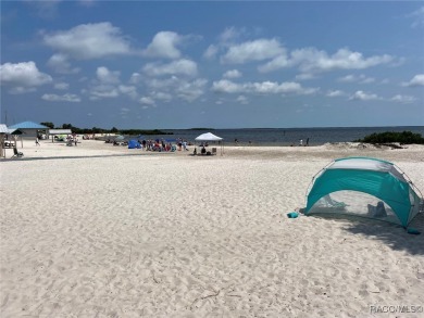 Welcome to your Nature Coast Florida home! Nestled on a 1-acre on Citrus Hills Golf Club in Florida - for sale on GolfHomes.com, golf home, golf lot