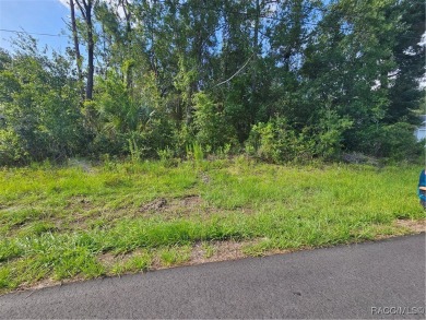Here is a beautiful building lot 0.29 of an acre in Citrus on Citrus Springs Country Club in Florida - for sale on GolfHomes.com, golf home, golf lot