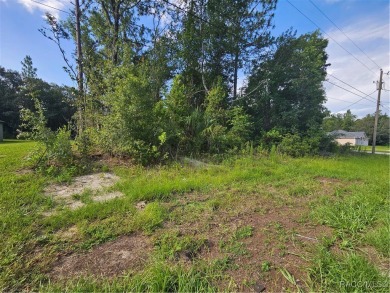 Here is a beautiful building lot 0.29 of an acre in Citrus on Citrus Springs Country Club in Florida - for sale on GolfHomes.com, golf home, golf lot