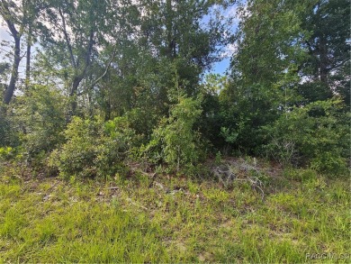 Here is a beautiful building lot 0.29 of an acre in Citrus on Citrus Springs Country Club in Florida - for sale on GolfHomes.com, golf home, golf lot