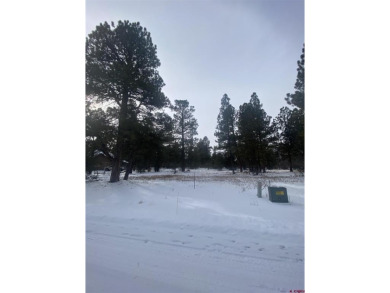Leslie A Musselmann, Vision Real Estate Investments, C: on The Divide Ranch and Club in Colorado - for sale on GolfHomes.com, golf home, golf lot