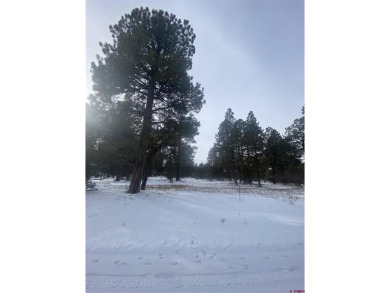 Leslie A Musselmann, Vision Real Estate Investments, C: on The Divide Ranch and Club in Colorado - for sale on GolfHomes.com, golf home, golf lot