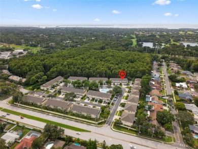Welcome to Ashley Downs! Located in a secure, gated community on Innisbrook Resort and Golf Club in Florida - for sale on GolfHomes.com, golf home, golf lot