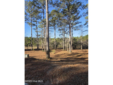 Ocean Ridge Plantation is home to the elegant country club on Sea Trail Golf Resort in North Carolina - for sale on GolfHomes.com, golf home, golf lot