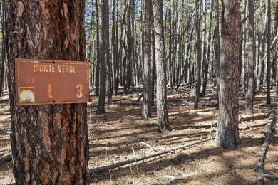 Opportunity knocks with this level, half-acre lot offering the on Angel Fire Resort Country Club in New Mexico - for sale on GolfHomes.com, golf home, golf lot