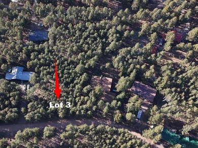 Opportunity knocks with this level, half-acre lot offering the on Angel Fire Resort Country Club in New Mexico - for sale on GolfHomes.com, golf home, golf lot