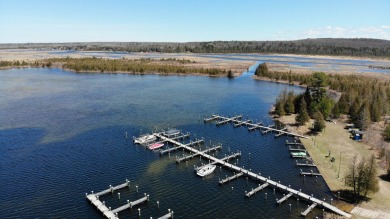 This beautiful wooded building site in one of Indian River's on Indian River Golf Club in Michigan - for sale on GolfHomes.com, golf home, golf lot