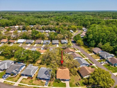 SELLER WILL PROVIDE A $5000 FLOORING ALLOWANCE!!   Your ideal on Summertree Golf Course in Florida - for sale on GolfHomes.com, golf home, golf lot