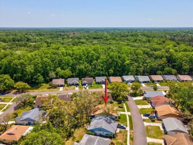 SELLER WILL PROVIDE A $5000 FLOORING ALLOWANCE!!   Your ideal on Summertree Golf Course in Florida - for sale on GolfHomes.com, golf home, golf lot