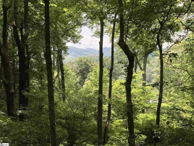 Nestled in the mountains just minutes from Greenville, SC, make on The Cliffs Valley Golf Course in South Carolina - for sale on GolfHomes.com, golf home, golf lot
