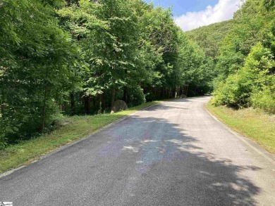 Nestled in the mountains just minutes from Greenville, SC, make on The Cliffs Valley Golf Course in South Carolina - for sale on GolfHomes.com, golf home, golf lot