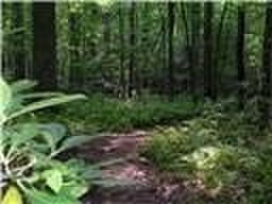 **New Construction** ->>> Move-in-Ready!! TIH Homes residence in on The Highlands Course at Lake Arrowhead in Georgia - for sale on GolfHomes.com, golf home, golf lot