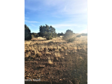 1.36 acre lot located in White Mountain Lakes
Enjoy all 4 on Silver Creek Golf Club in Arizona - for sale on GolfHomes.com, golf home, golf lot