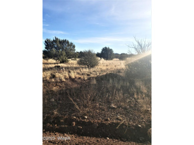1.36 acre lot located in White Mountain Lakes
Enjoy all 4 on Silver Creek Golf Club in Arizona - for sale on GolfHomes.com, golf home, golf lot
