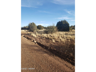 1.36 acre lot located in White Mountain Lakes
Enjoy all 4 on Silver Creek Golf Club in Arizona - for sale on GolfHomes.com, golf home, golf lot