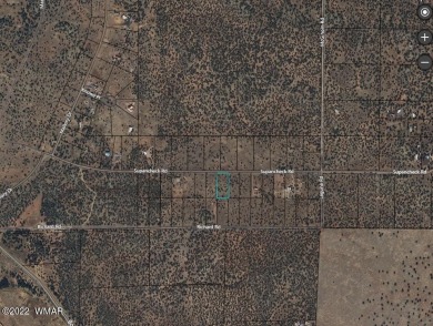 1.36 acre lot located in White Mountain Lakes
Enjoy all 4 on Silver Creek Golf Club in Arizona - for sale on GolfHomes.com, golf home, golf lot