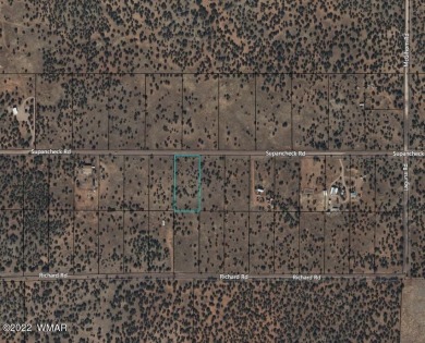1.36 acre lot located in White Mountain Lakes
Enjoy all 4 on Silver Creek Golf Club in Arizona - for sale on GolfHomes.com, golf home, golf lot