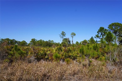 The perfect place to build your new Florida home is on this on Sabal Trace Golf and Country Club in Florida - for sale on GolfHomes.com, golf home, golf lot