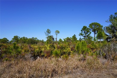 The perfect place to build your new Florida home is on this on Sabal Trace Golf and Country Club in Florida - for sale on GolfHomes.com, golf home, golf lot