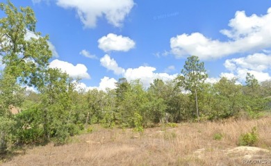 Imagine the perfect canvas for your dream home, nestled in the on Sugarmill Woods Golf and Country Club in Florida - for sale on GolfHomes.com, golf home, golf lot