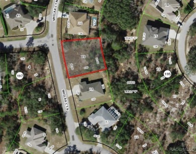 Imagine the perfect canvas for your dream home, nestled in the on Sugarmill Woods Golf and Country Club in Florida - for sale on GolfHomes.com, golf home, golf lot