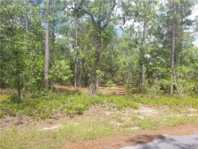 Prime Vacant Lot in Sugarmill Woods - 41 Boxleaf Ct, Homosassa on Sugarmill Woods Golf and Country Club in Florida - for sale on GolfHomes.com, golf home, golf lot