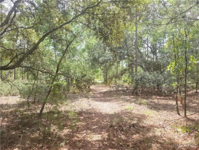 Prime Vacant Lot in Sugarmill Woods - 41 Boxleaf Ct, Homosassa on Sugarmill Woods Golf and Country Club in Florida - for sale on GolfHomes.com, golf home, golf lot