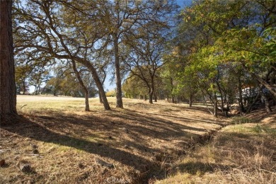 Cute, clean and affordable manufactured home that backs up to on Lake Oroville Golf and Event Center in California - for sale on GolfHomes.com, golf home, golf lot