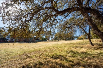 Cute, clean and affordable manufactured home that backs up to on Lake Oroville Golf and Event Center in California - for sale on GolfHomes.com, golf home, golf lot