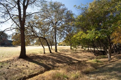 Cute, clean and affordable manufactured home that backs up to on Lake Oroville Golf and Event Center in California - for sale on GolfHomes.com, golf home, golf lot