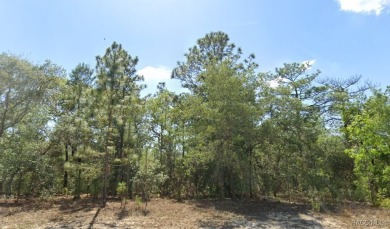 Looking for the perfect building lot in Citrus Springs? Look no on Pine Ridge Community Golf and Country Club in Florida - for sale on GolfHomes.com, golf home, golf lot
