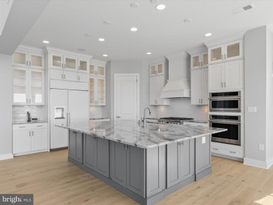 An Elevated Coastal Sanctuary in The Peninsula - Welcome to on The Peninsula Golf and Country Club in Delaware - for sale on GolfHomes.com, golf home, golf lot