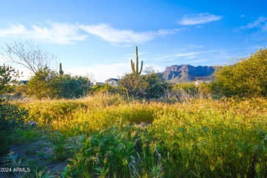 STUNNING SUPERSTITION MOUNTAIN VIEWS FROM THIS PREMIUM 5 ACRE on Superstition Mountain Club - Lost Gold in Arizona - for sale on GolfHomes.com, golf home, golf lot