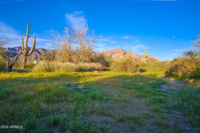 STUNNING SUPERSTITION MOUNTAIN VIEWS FROM THIS PREMIUM 5 ACRE on Superstition Mountain Club - Lost Gold in Arizona - for sale on GolfHomes.com, golf home, golf lot