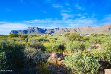 STUNNING SUPERSTITION MOUNTAIN VIEWS FROM THIS PREMIUM 5 ACRE on Superstition Mountain Club - Lost Gold in Arizona - for sale on GolfHomes.com, golf home, golf lot