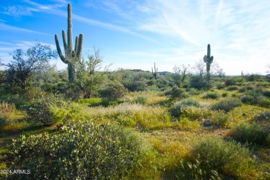 STUNNING SUPERSTITION MOUNTAIN VIEWS FROM THIS PREMIUM 5 ACRE on Superstition Mountain Club - Lost Gold in Arizona - for sale on GolfHomes.com, golf home, golf lot