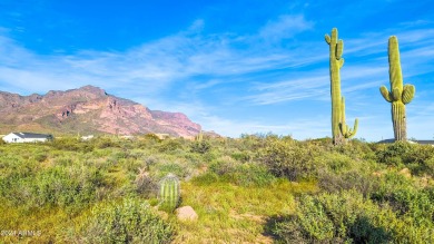 STUNNING SUPERSTITION MOUNTAIN VIEWS FROM THIS PREMIUM 5 ACRE on Superstition Mountain Club - Lost Gold in Arizona - for sale on GolfHomes.com, golf home, golf lot