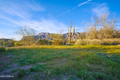 STUNNING SUPERSTITION MOUNTAIN VIEWS FROM THIS PREMIUM 5 ACRE on Superstition Mountain Club - Lost Gold in Arizona - for sale on GolfHomes.com, golf home, golf lot