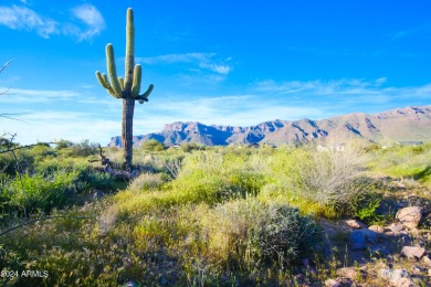 STUNNING SUPERSTITION MOUNTAIN VIEWS FROM THIS PREMIUM 5 ACRE on Superstition Mountain Club - Lost Gold in Arizona - for sale on GolfHomes.com, golf home, golf lot