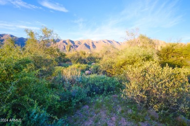 STUNNING SUPERSTITION MOUNTAIN VIEWS FROM THIS PREMIUM 5 ACRE on Superstition Mountain Club - Lost Gold in Arizona - for sale on GolfHomes.com, golf home, golf lot