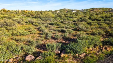 STUNNING SUPERSTITION MOUNTAIN VIEWS FROM THIS PREMIUM 5 ACRE on Superstition Mountain Club - Lost Gold in Arizona - for sale on GolfHomes.com, golf home, golf lot