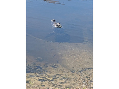 Gorgeous coastal 2 bedroom 2 bathroom attached villa in on Lexington Country Club in Florida - for sale on GolfHomes.com, golf home, golf lot